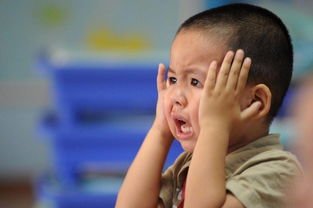 萌娃给老师发语音：不想上学想捡垃圾！如何正确引导孩子？