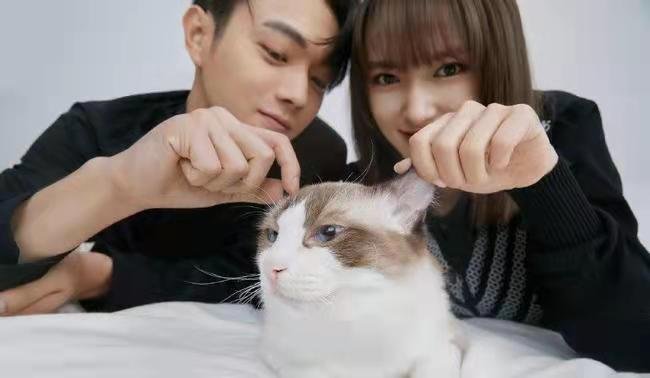 电视剧你微笑时很美,有哪些甜蜜的瞬间会让你心动?