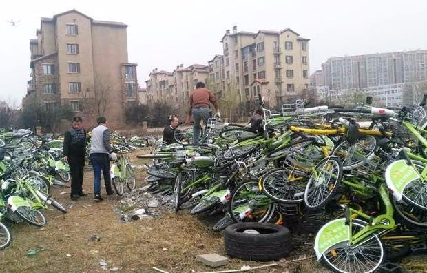 上万共享单车被弃荒野，共享单车该何去何从？