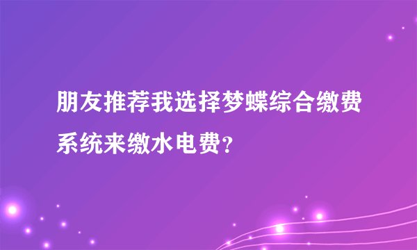 朋友推荐我选择梦蝶综合缴费系统来缴水电费？