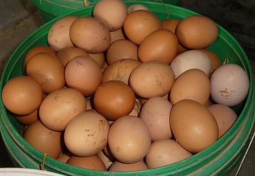 鸡蛋价格半年降近3成,是什么原因导致的?