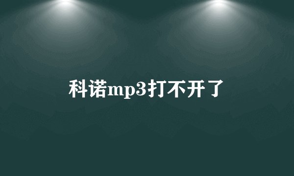 科诺mp3打不开了