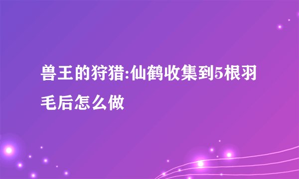 兽王的狩猎:仙鹤收集到5根羽毛后怎么做