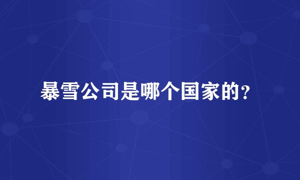 暴雪公司是哪个国家的？