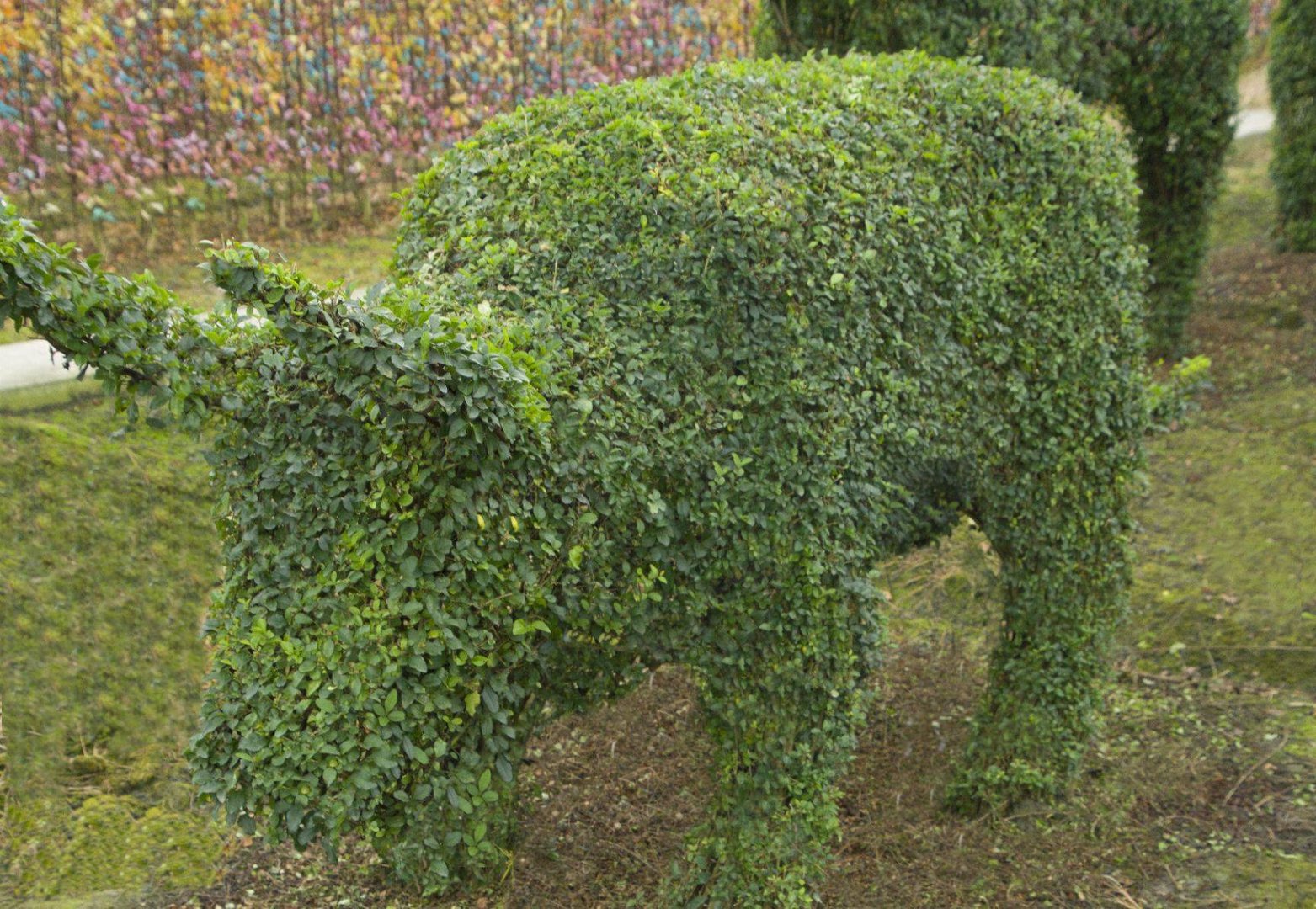 泗水男子用8年在自家果树地里“种出了”纯天然“树椅”,对此你怎么看?