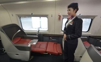 河北一大妈高铁吸烟触发警报下跪求饶,你觉得该不该原谅此女子?