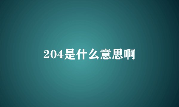 204是什么意思啊