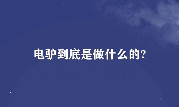 电驴到底是做什么的?