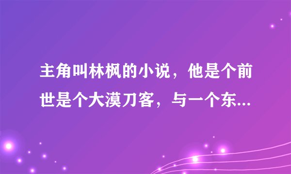 主角叫林枫的小说，他是个前世是个大漠刀客，与一个东瀛武士比武双亡后穿越到另一个大陆