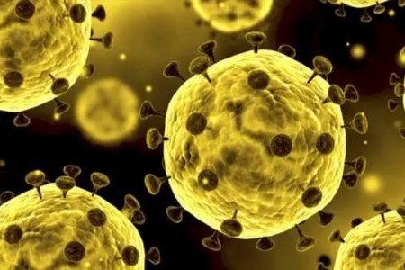 扬州“1传32”在核酸检测点传染20余人,其感染源是哪里?