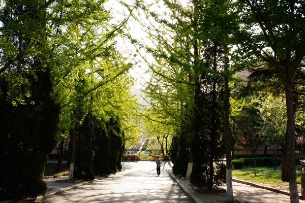 东北财经大学包机送大学生回家,这样的举动暖心吗?