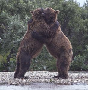 “熊抱”是什么意思？