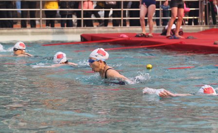 你如何看待7岁男童参加游泳培训班溺水进ICU?