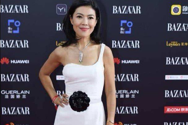 为何今年的芭莎慈善夜,官方并没有公布明星的捐款明细?