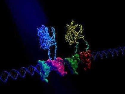 什么是合成生物学?