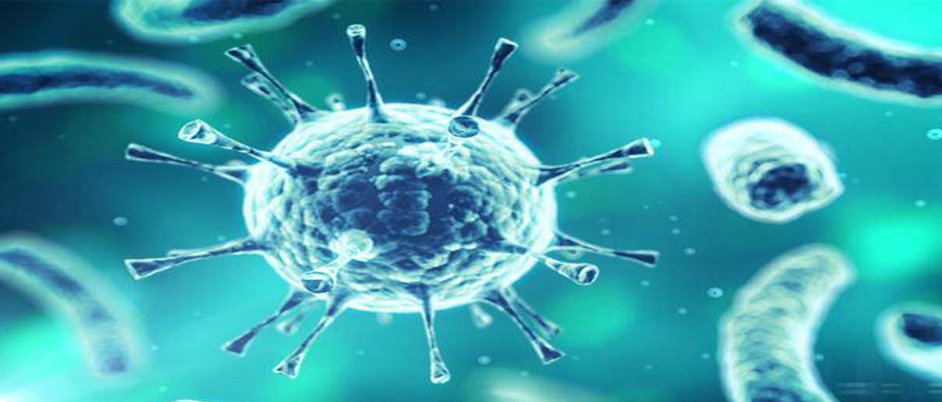 世卫称新冠肺炎疫情影响将持续数十年,此说法靠谱吗?