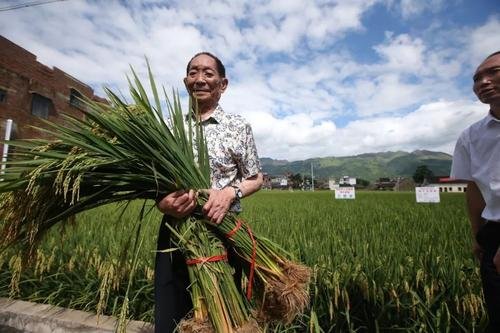 袁隆平、吴孟超两位国士相继去世,他们生前有过哪些成就?