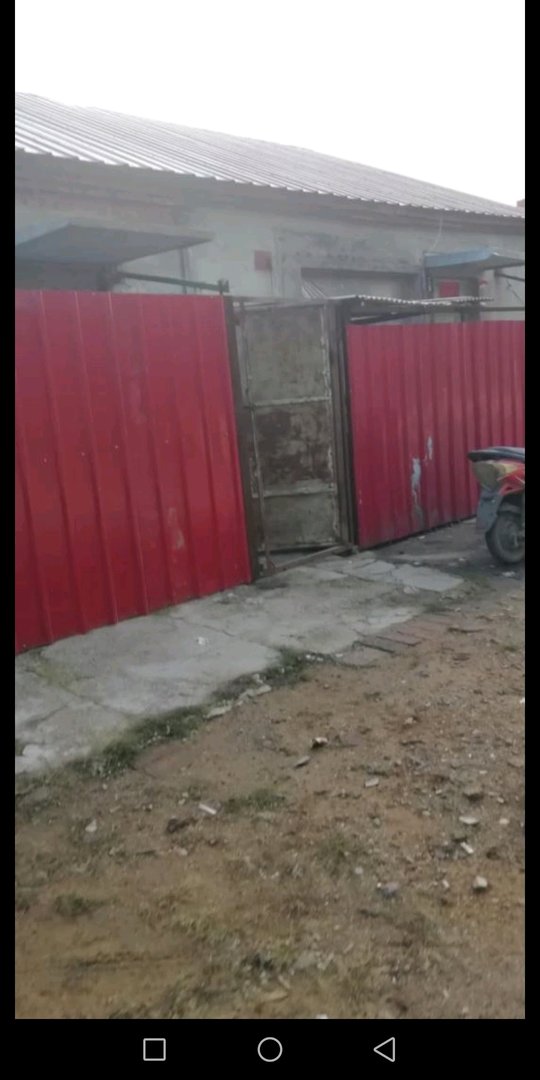 龙胆花可以怎么用？