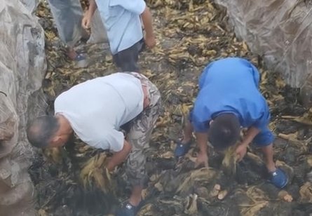 “土坑酸菜”已经被曝出问题一个多月,插旗公司现状如何?