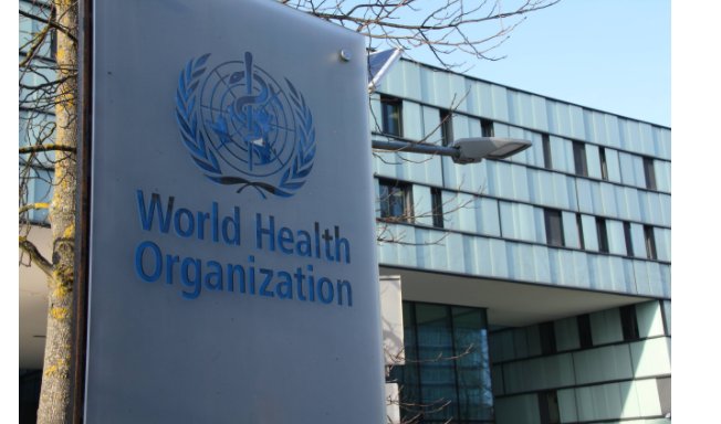 我在北方撞了南墙是什么歌曲