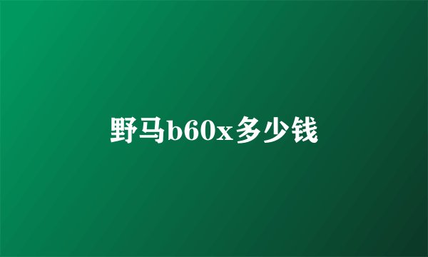 野马b60x多少钱