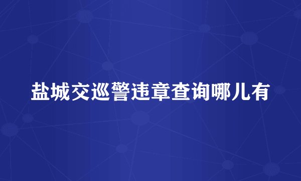 盐城交巡警违章查询哪儿有