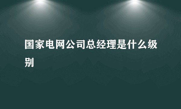 国家电网公司总经理是什么级别