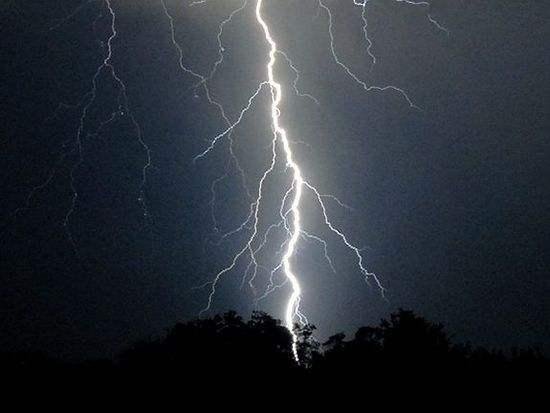 格鲁吉亚550只羊吃草时被雷瞬间劈死,这究竟是怎么回事?