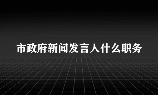 市政府新闻发言人什么职务