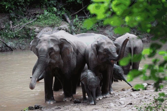 西双版纳旅游攻略有哪些?