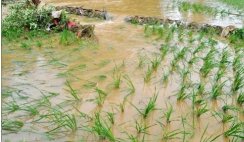 终于要降温了!京津冀等8省区市有大到暴雨,此次暴雨是否会引发灾害?