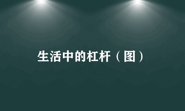生活中的杠杆（图）