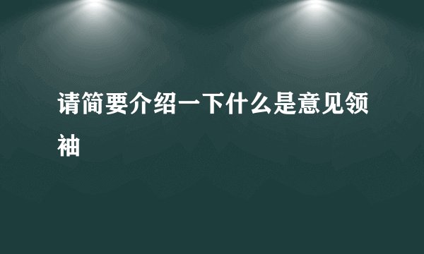 请简要介绍一下什么是意见领袖