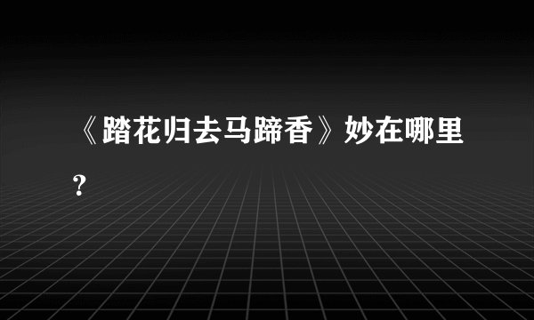 《踏花归去马蹄香》妙在哪里？