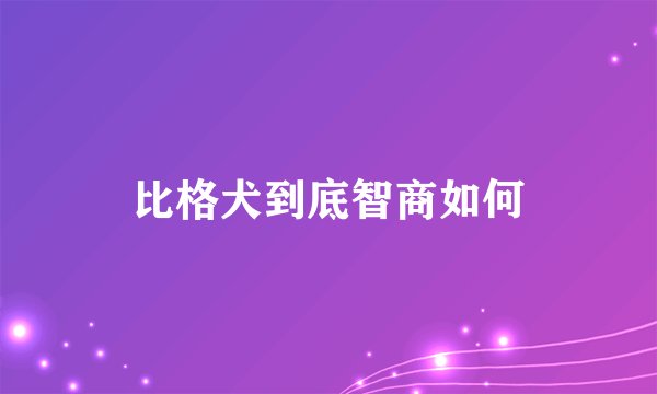 比格犬到底智商如何