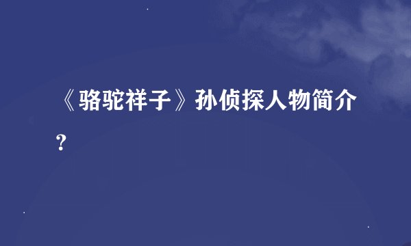 《骆驼祥子》孙侦探人物简介？