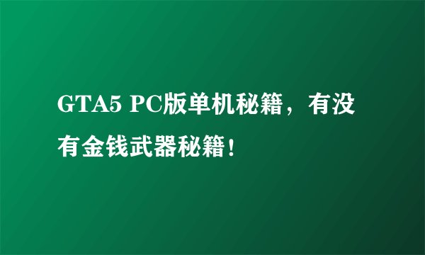 GTA5 PC版单机秘籍，有没有金钱武器秘籍！