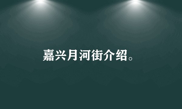 嘉兴月河街介绍。