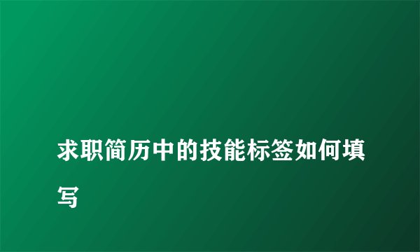 
求职简历中的技能标签如何填写

