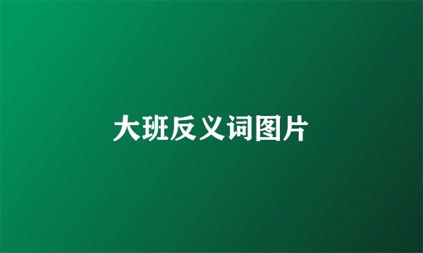 大班反义词图片