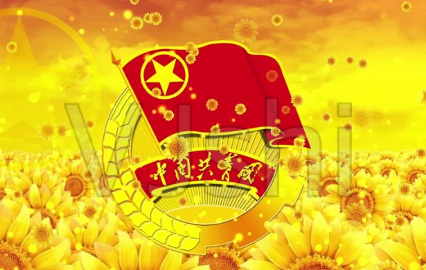 中国共产主义青年团的性质是什么。