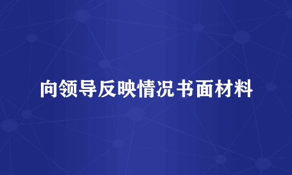 向领导反映情况书面材料