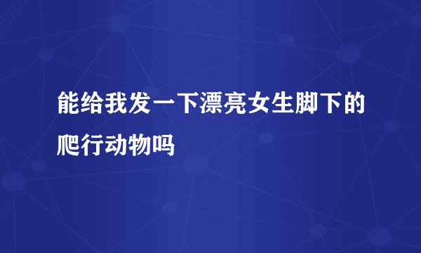 能给我发一下漂亮女生脚下的爬行动物吗