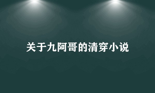 关于九阿哥的清穿小说