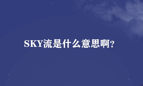 SKY流是什么意思啊?