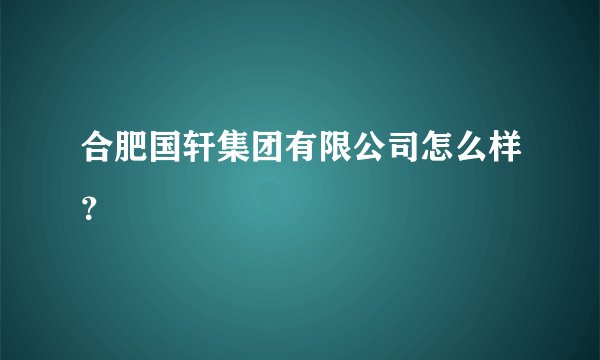 合肥国轩集团有限公司怎么样？