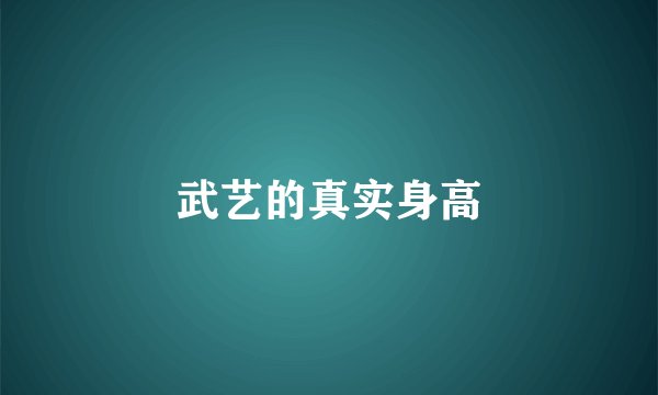 武艺的真实身高