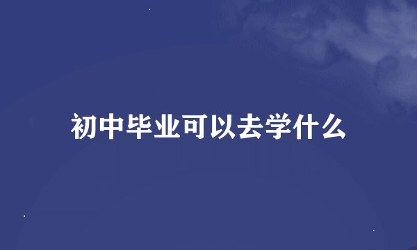 初中毕业可以去学什么