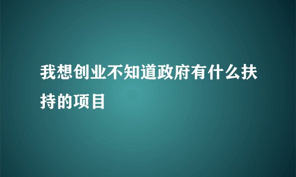 我想创业不知道政府有什么扶持的项目
