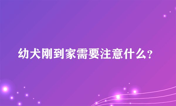 幼犬刚到家需要注意什么?